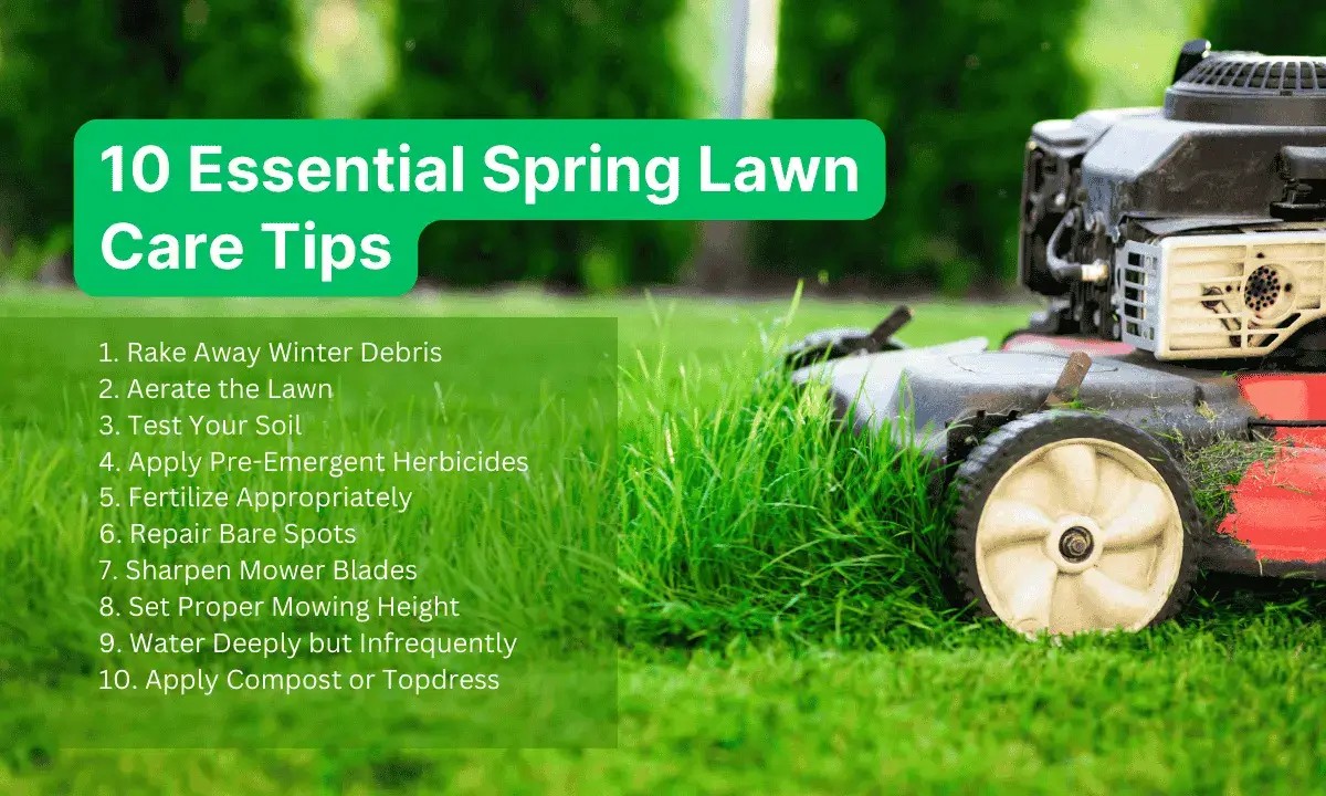 Was Gärtner im März machen, das Ihr Rasen im Juni dankt - image 1