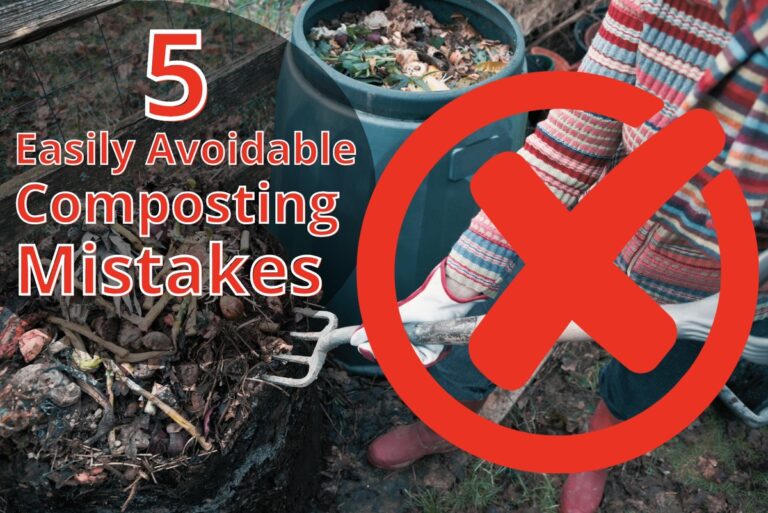 Was Gärtner niemals in den Kompost werfen – und warum