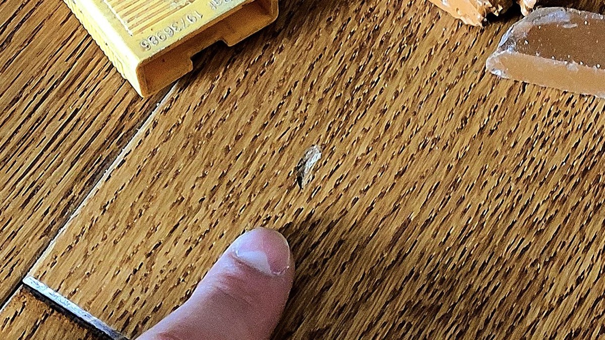 Zahnpasta auf Kratzer im Parkett? Das Ergebnis überrascht jeden Handwerker - image 2