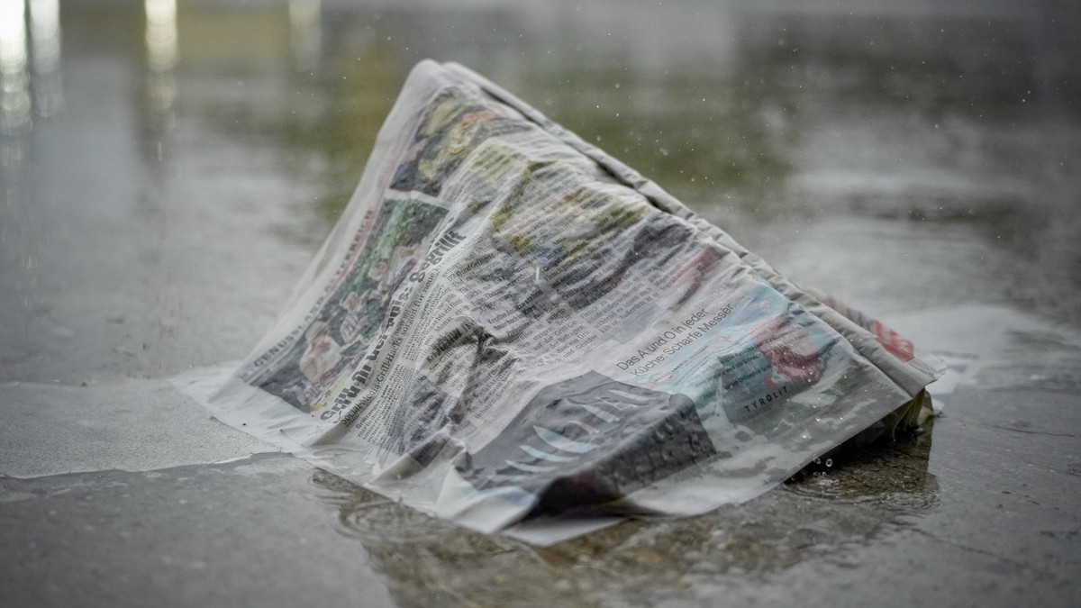 Zeitungspapier in feuchten Ecken – die alte Gärtnerlösung gegen Schimmel