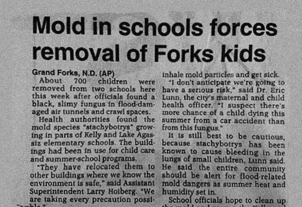 Zeitungspapier in feuchten Ecken – die alte Gärtnerlösung gegen Schimmel - image 1