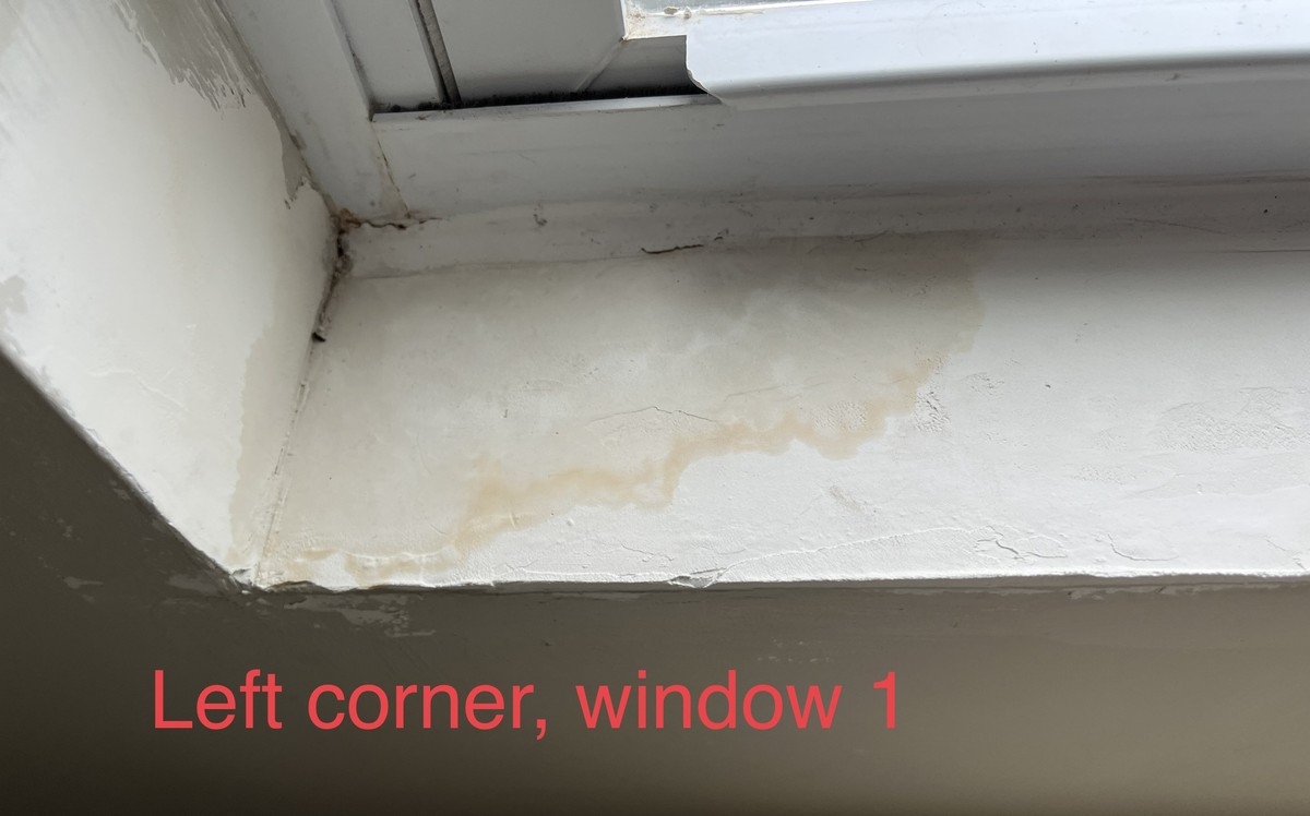 Zeitungspapier unter die Blumentöpfe: Warum Ihre Fensterbank trocken bleibt - image 1