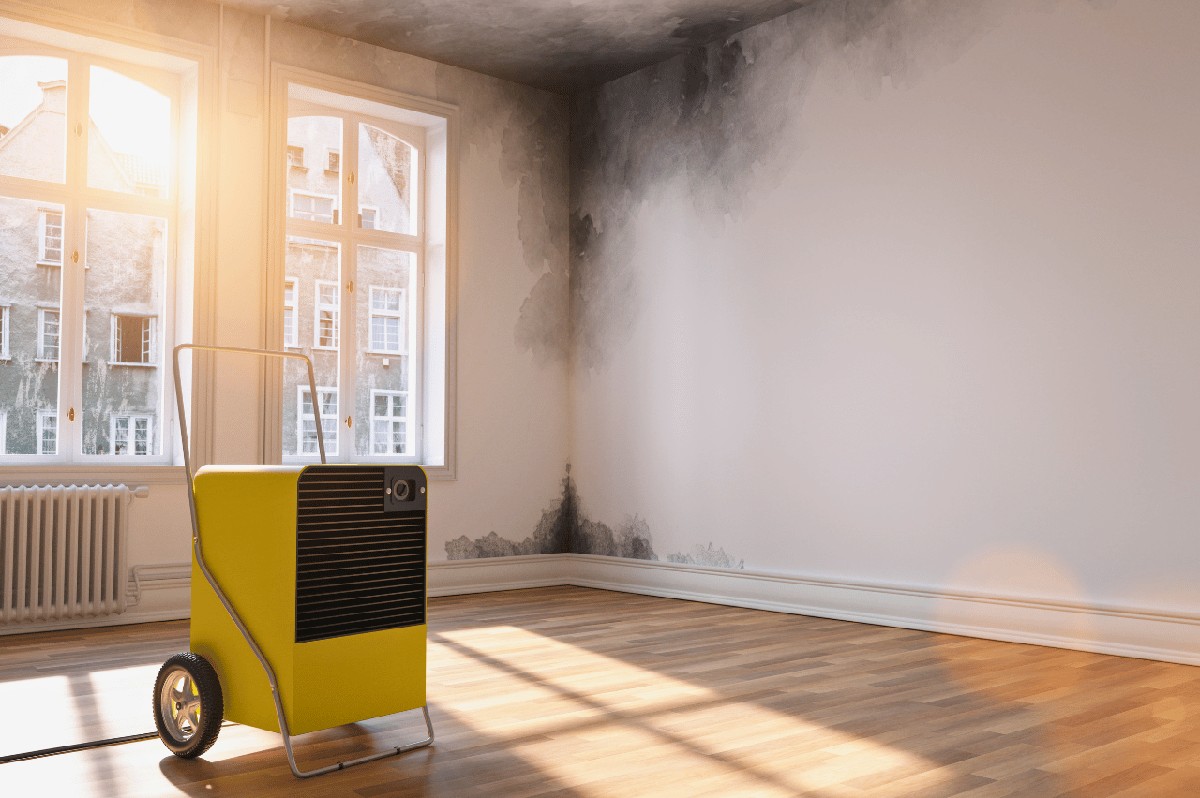 Zeitungspapier unter der Matratze: Das Geheimnis gegen Feuchtigkeit und Schimmel - image 1