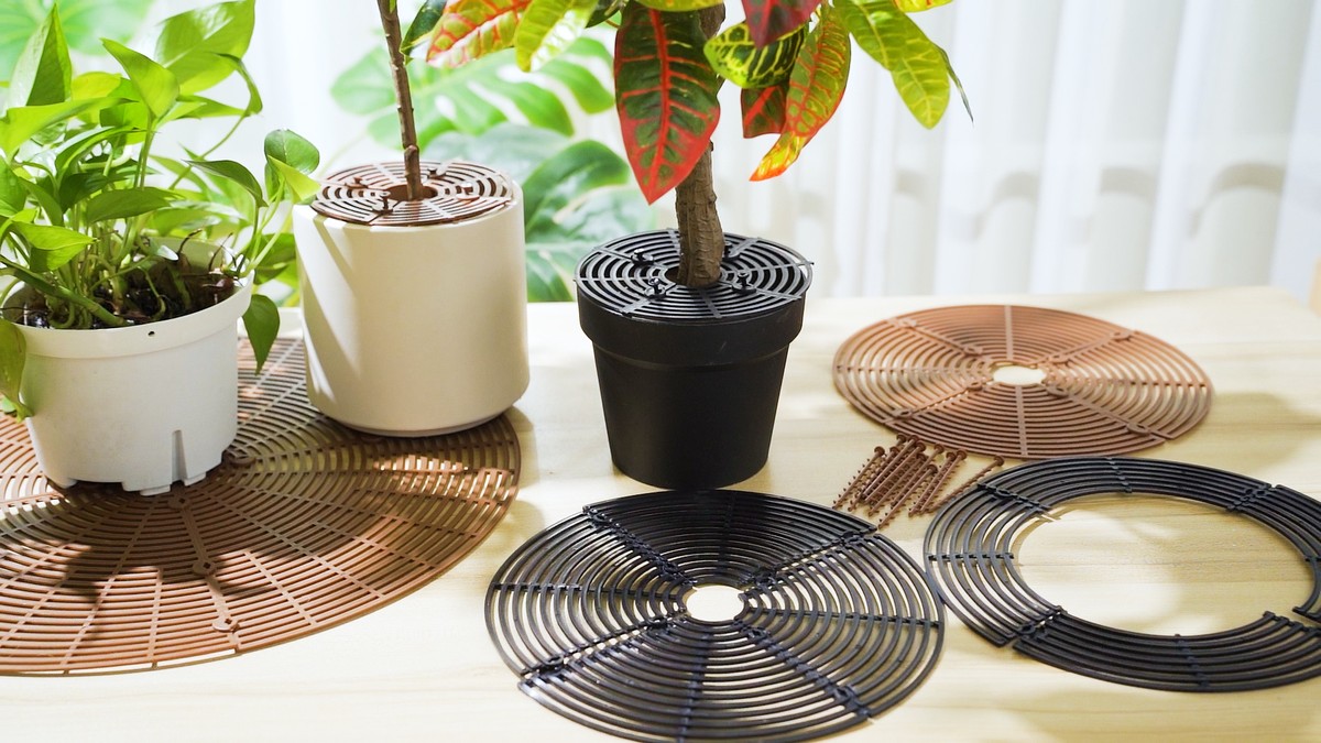 Zeitungspapier unter die Blumentöpfe: Warum Ihre Fensterbank trocken bleibt - image 2