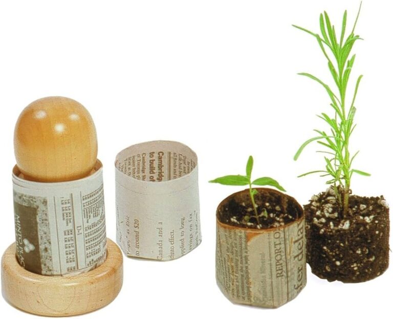 Zeitung unter den Blumentopf: Wie Sie Schimmel dauerhaft stoppen