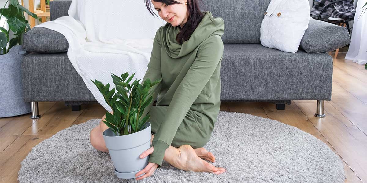Zeitung unter den Topfpflanzen: Warum Ihre Böden nie wieder nass werden - image 2