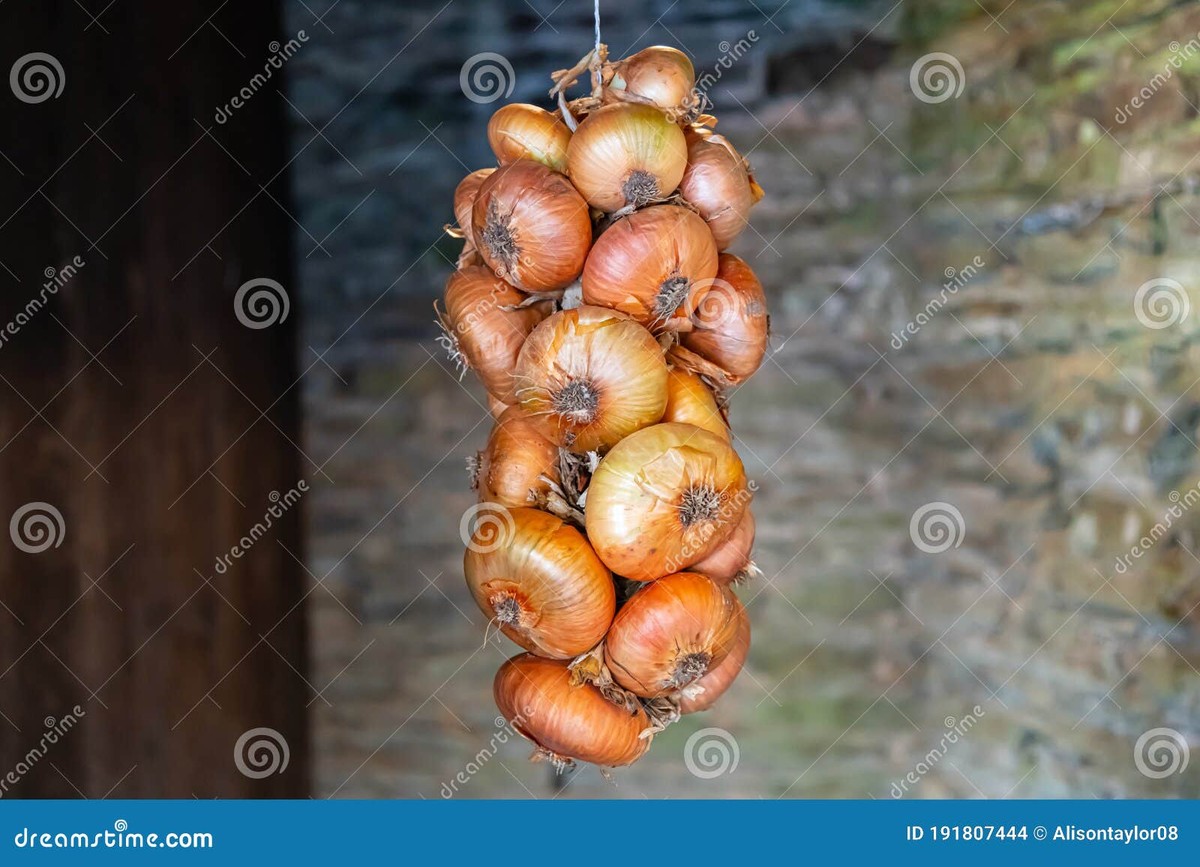 Zwiebeln in der Speisekammer lagern: So bleibt Ihr Gemüse 3 Wochen länger frisch - image 2