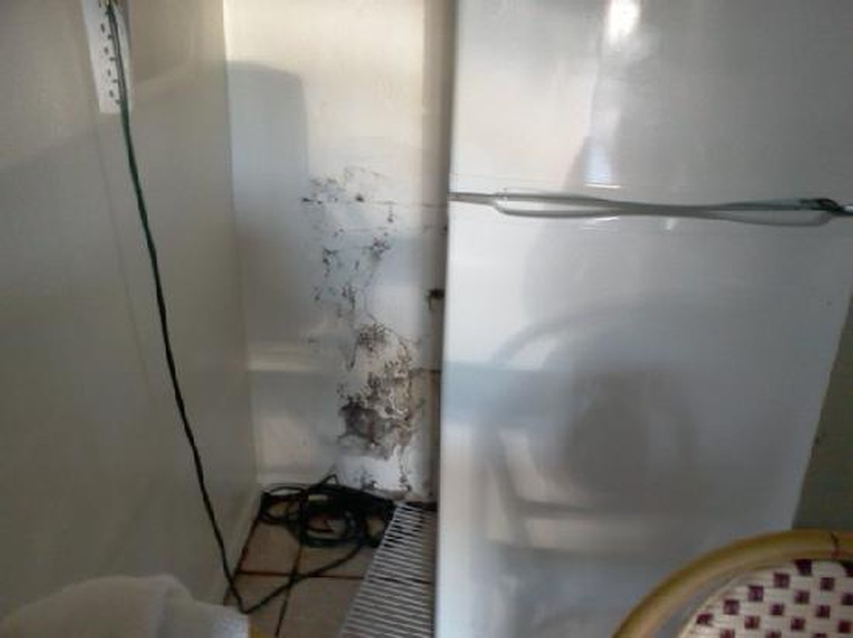 Backpulver hinter dem Kühlschrank: Das Geheimnis gegen Schimmel und Gerüche - image 1