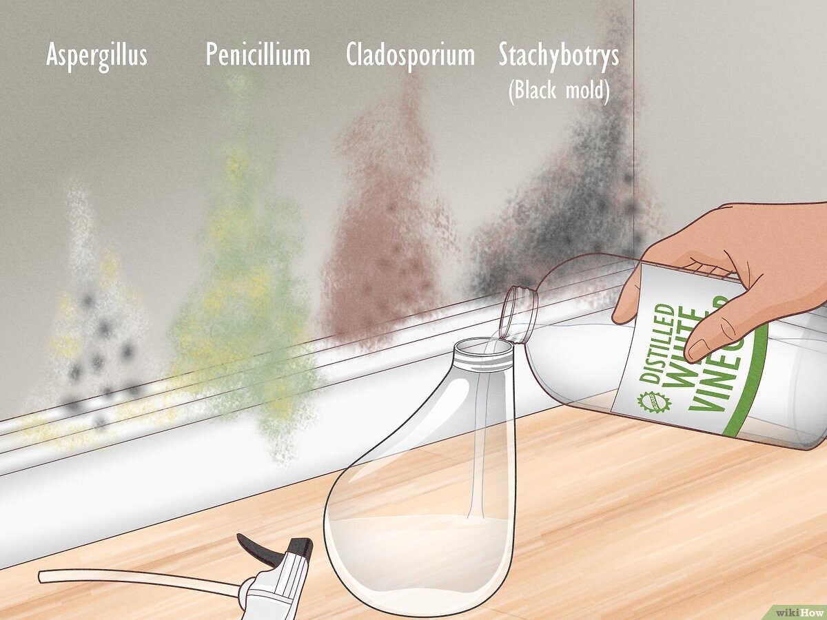 Essig auf Fensterrahmen: Das Geheimnis gegen Schimmel, das Vermieter verschweigen - image 1