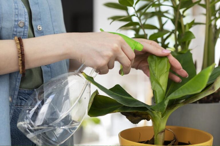 Essig im Blumenkasten: Die unbekannte Lösung gegen Kalkflecken