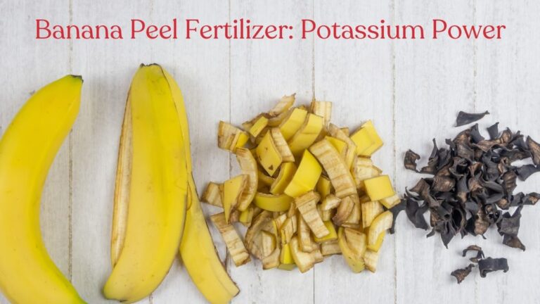 Essig und Bananenschale gegen Blattläuse: Das Geheimnis der Bio-Gärtner