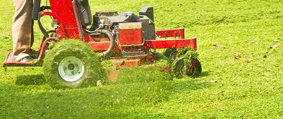 Gärtner gestehen: Ihr größter Fehler beim Rasenmähen im Frühjahr - image 2