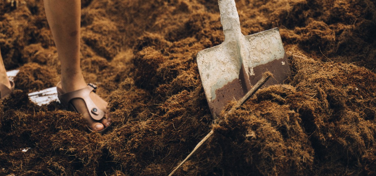 Gärtner verraten: Warum Sie Ihre Erde im Herbst umdrehen sollten - image 2