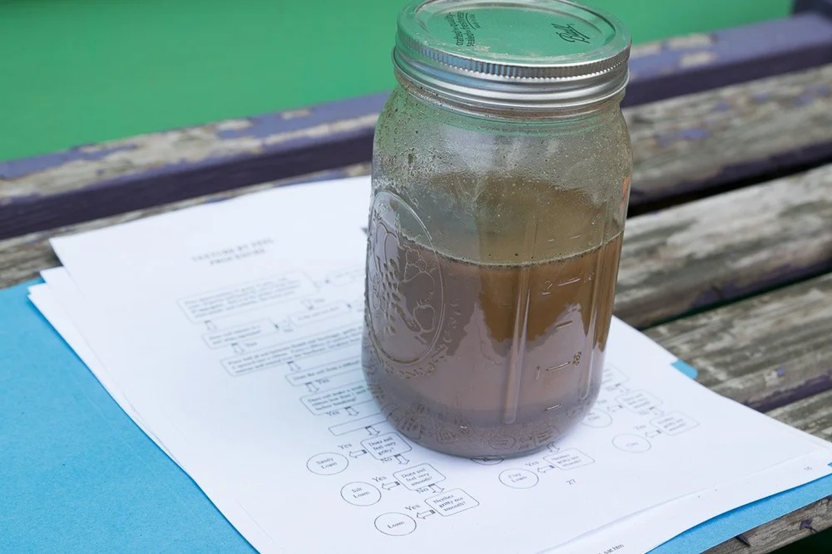 Gärtner warnen: Diese Pflanze giftet dein Gemüse, wenn du sie zu nah pflanzt - image 1