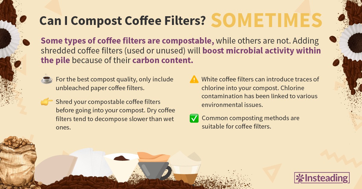 Kaffeefilter statt Küchenrolle: Der Haushaltshack, der Ihre Abfälle halbiert - image 1