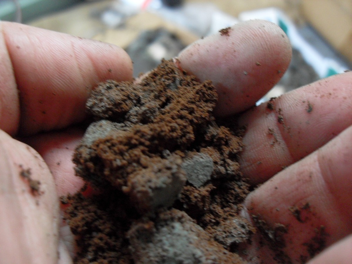 Kaffeesatz hinter die Heizung: Wie es Schimmel für 3 Monate stoppt