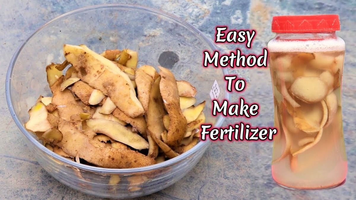 Kartoffelschalen als Dünger: Der Trick, den Gärtner vor Ihnen geheim halten - image 1