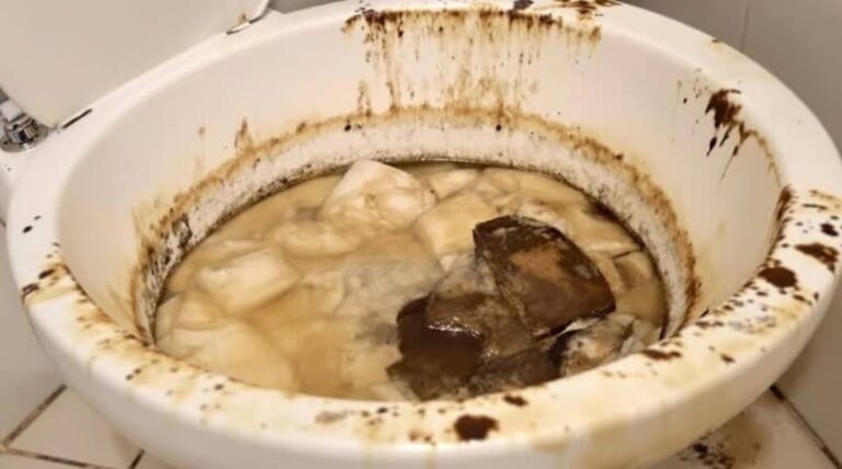 Klempner warnen: Diese 5 Gegenstände dürfen niemals in die Toilette