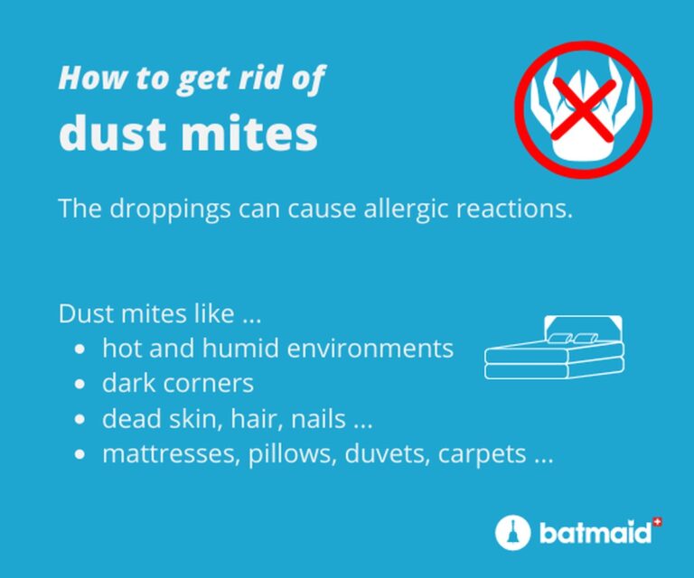 Plastikfolie unters Bett – der vergessene Trick gegen Hausstaubmilben