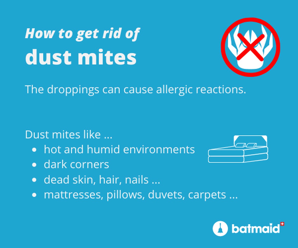 Plastikfolie unters Bett – der vergessene Trick gegen Hausstaubmilben