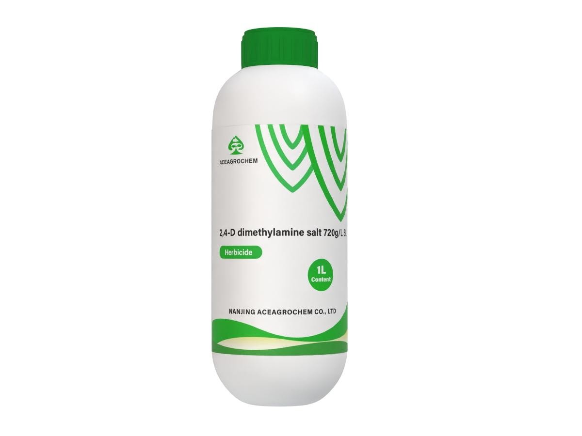 Salzwasser auf Unkraut: Warum Floristen diese Methode lieben - image 2