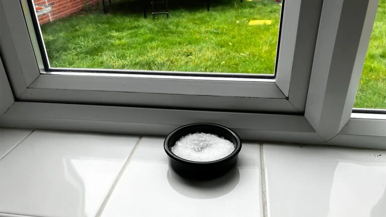 Salzwasser für die Fenster – Das Geheimnis der Hausmeister gegen Frost