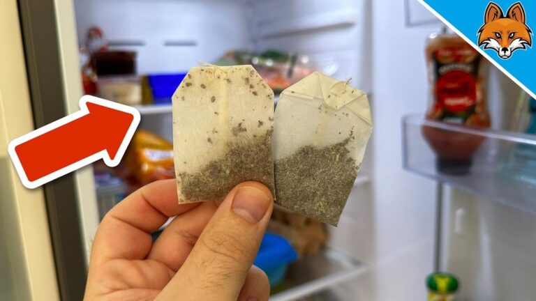 Teebeutel in der Kühlschrank-Ecke: Das Geheimnis gegen Gerüche