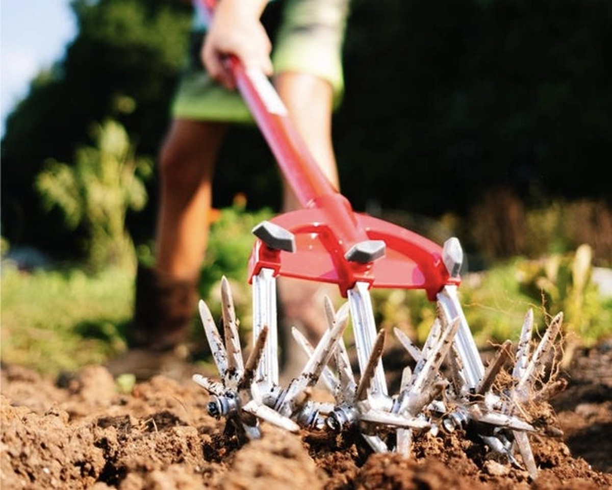 Warum Gärtner niemals Kalk auf feuchte Erde streuen - image 2