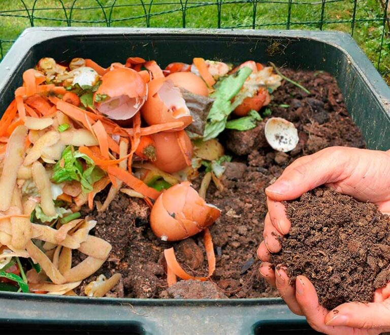 Was Gärtner über Kompost verschweigen – und warum Bokashi besser ist