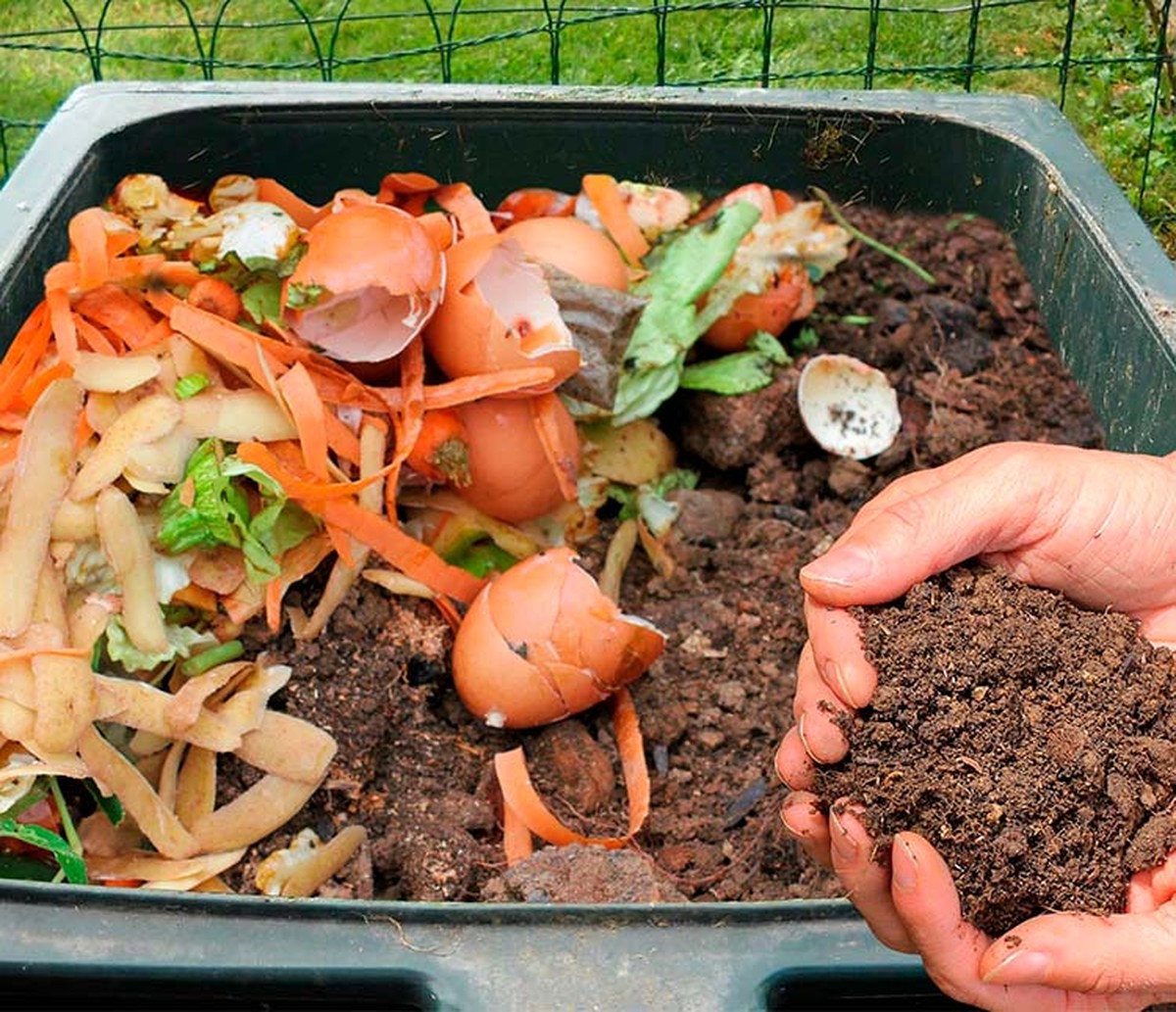 Was Gärtner über Kompost verschweigen – und warum Bokashi besser ist