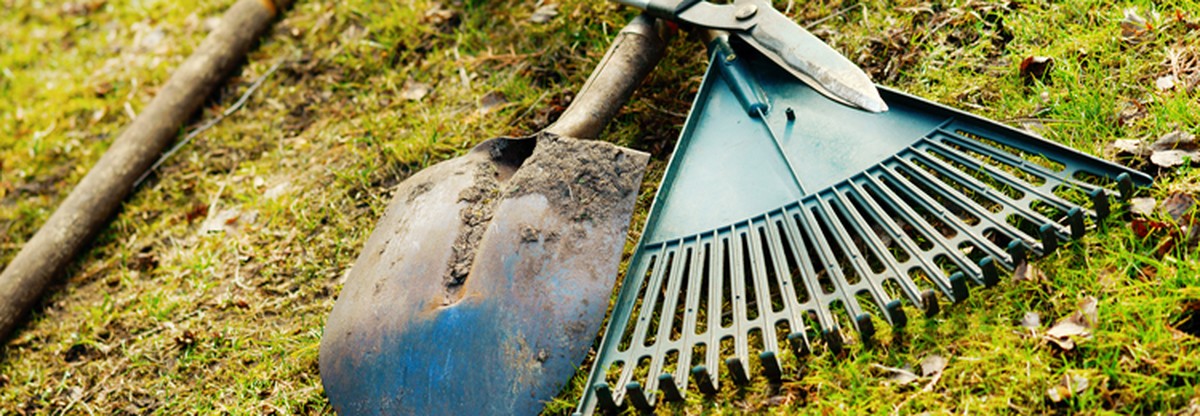 Zahnpasta auf Rostflecken: Der Trick, den Gärtner kennen - image 2
