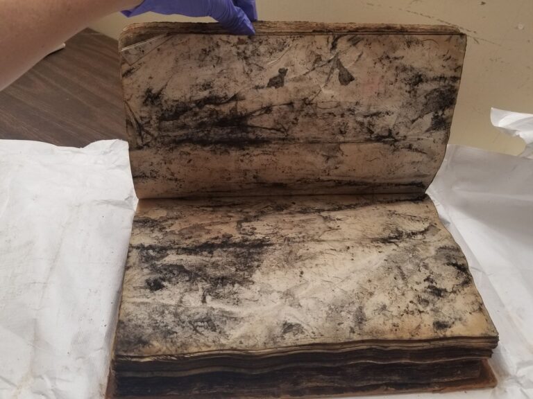 Zeitungspapier in feuchte Ecken: Die 100 Jahre alte Methode gegen Schimmel