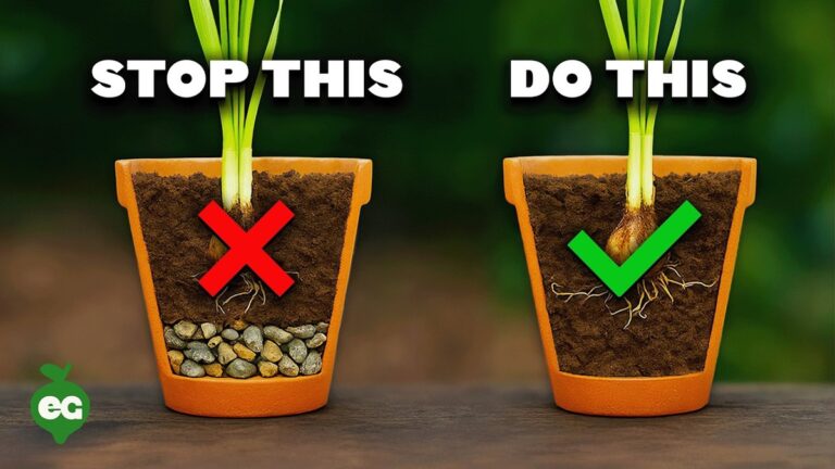 Zeitung unter die Blumentöpfe: Der vergessene Trick gegen Nässe