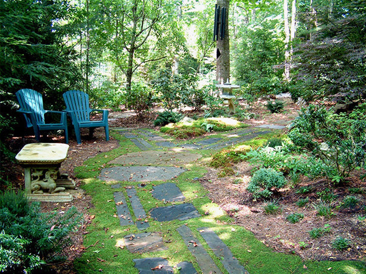Backpulver auf der Terrasse: Der Trick gegen grüne Verfärbungen ohne Chemie - image 2