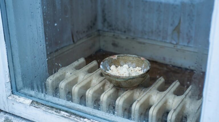 Backpulver hinter dem Heizkörper – die unterschätzte Lösung gegen Schimmel