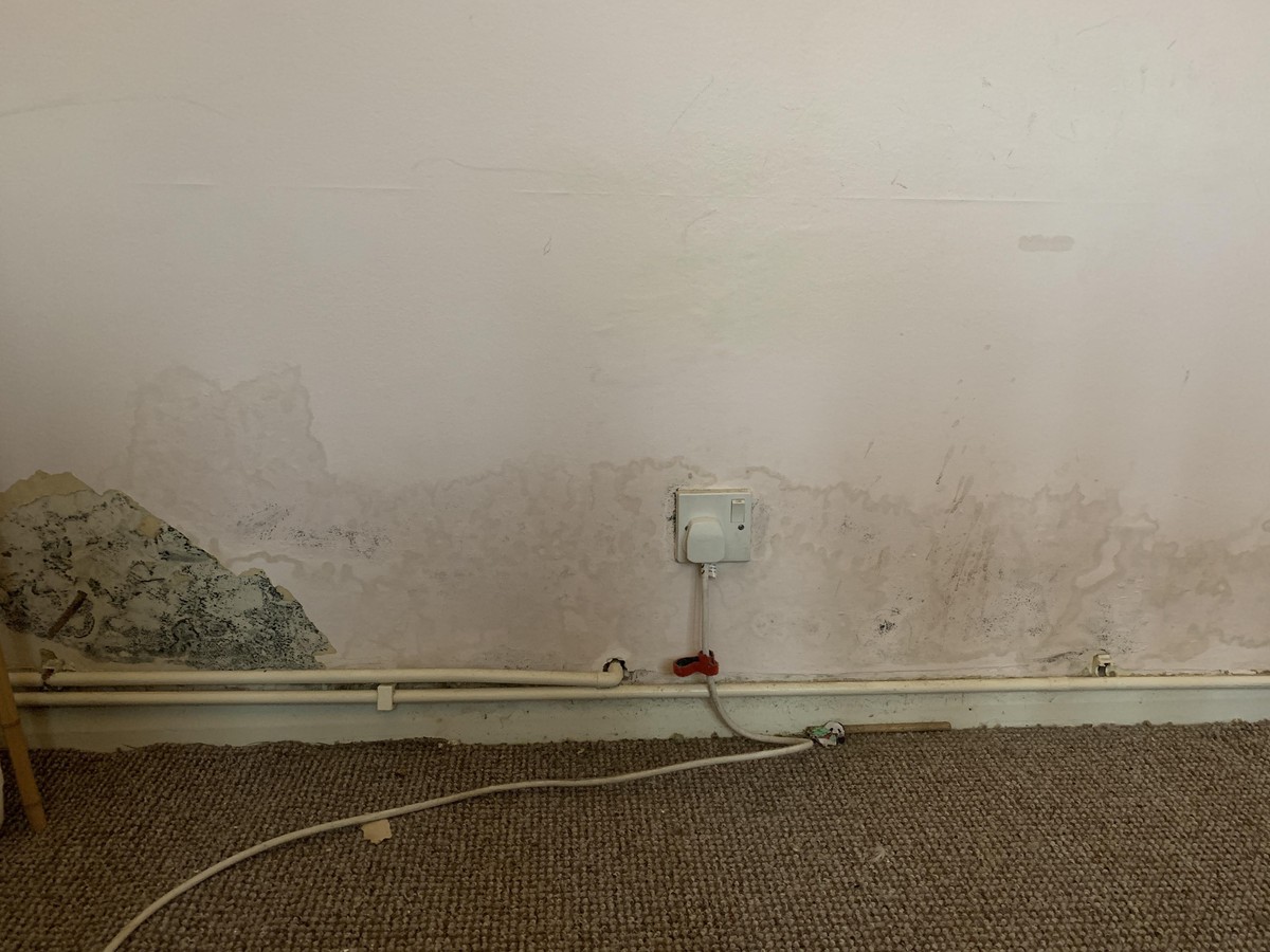 Backpulver hinter dem Heizkörper – die unterschätzte Lösung gegen Schimmel - image 1