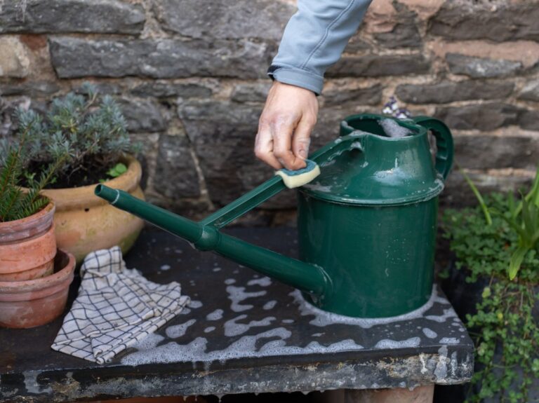 Essig in den Gießkannen: Warum Profigärtner das jeden Frühling machen