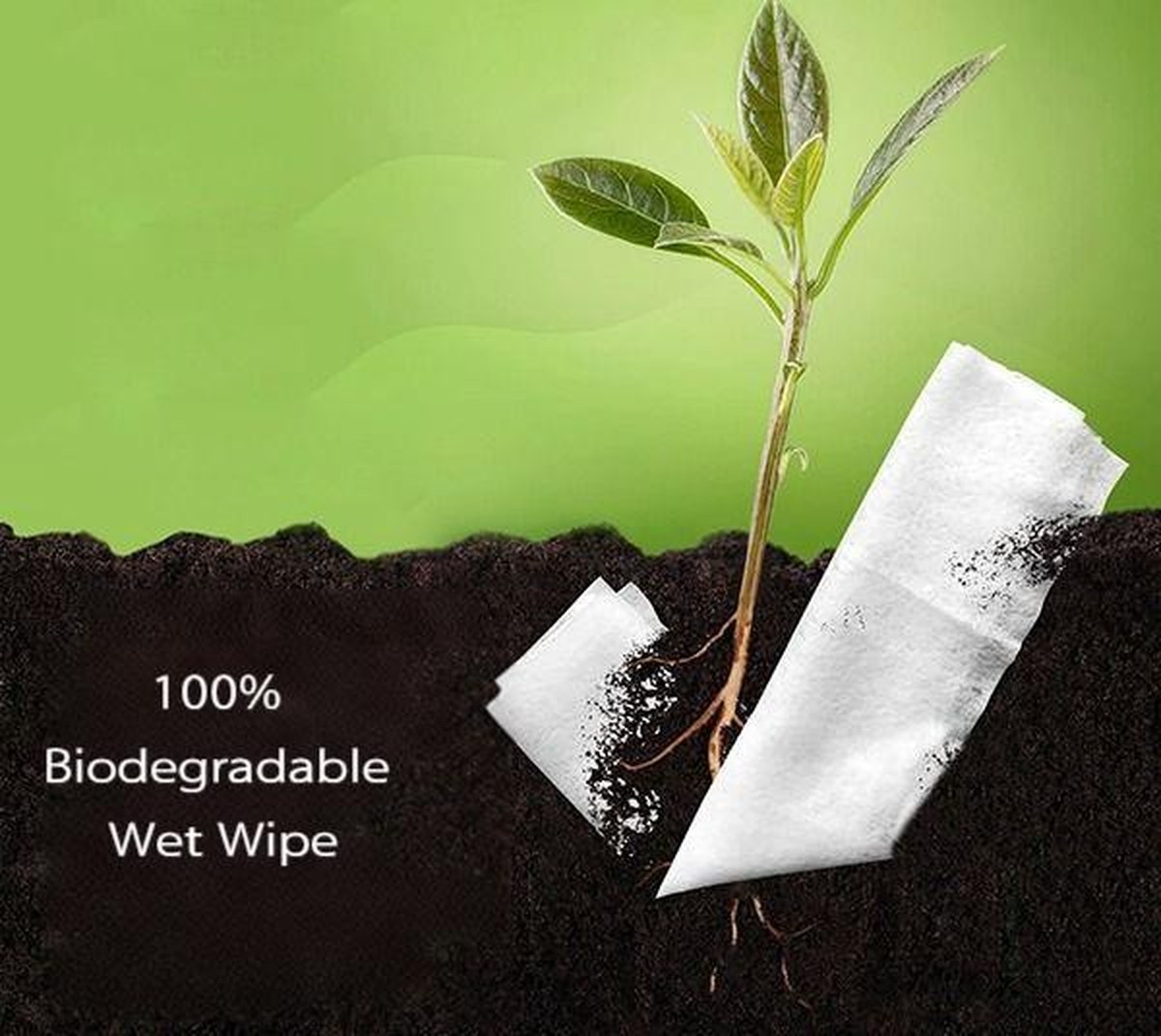 Feuchttücher auf den Topfboden – warum Ihre Pflanzen es danken - image 1