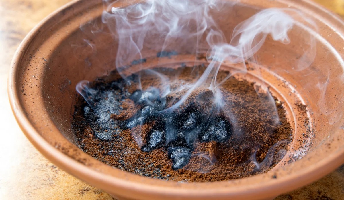 Kaffeesatz gegen Stubenfliegen: Das natürliche Abwehrmittel, das wirklich funktioniert - image 2