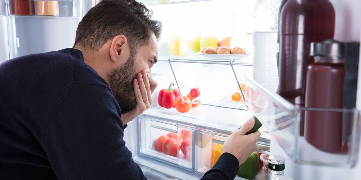 Kaffeesatz hinter dem Kühlschrank: Warum Geruchsprobleme in 48 Stunden verschwinden - image 2