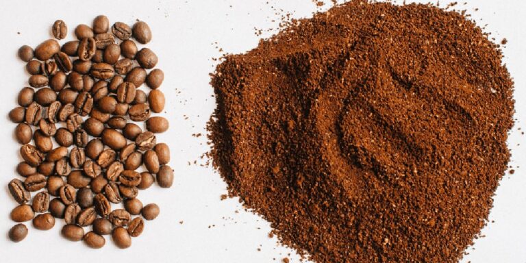 Kaffeesatz im Blumentopf: Das Geheimnis üppiger Balkonpflanzen