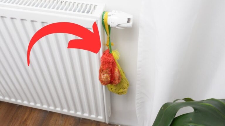 Kartoffelschalen hinter dem Heizkörper: Das Geheimnis gegen trockene Luft im Winter