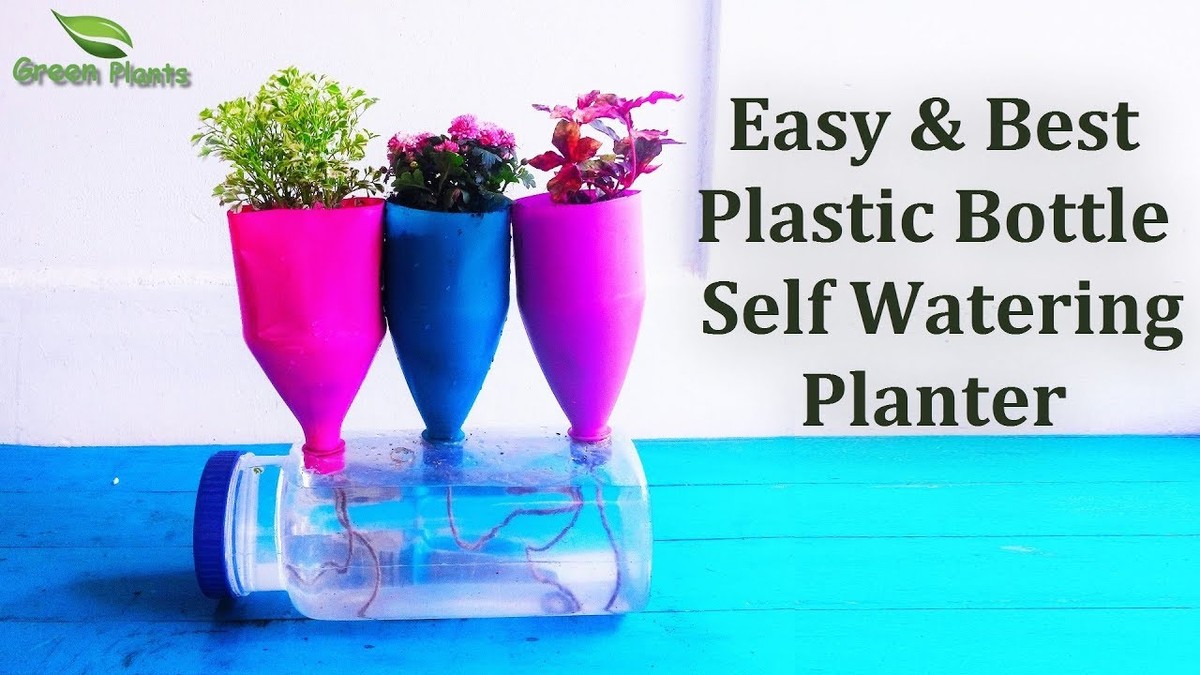 Plastikflaschen als Bewässerungssystem: Perfekt für den Urlaub im Garten - image 1