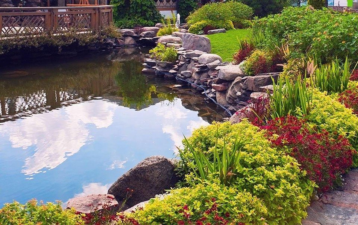 Salzwasser im Gartenteich: Warum Algen plötzlich verschwinden