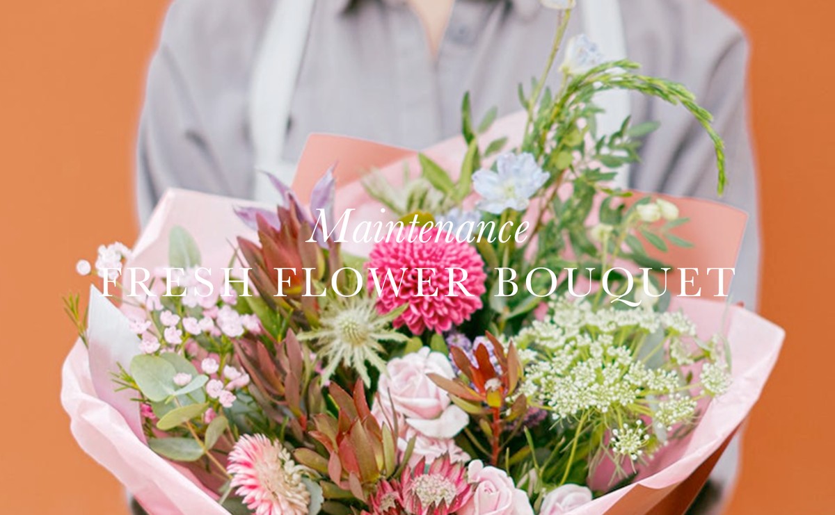 Was Floristen Ihnen über Schnittblumen verschweigen – und warum Zucker allein nicht hilft - image 2
