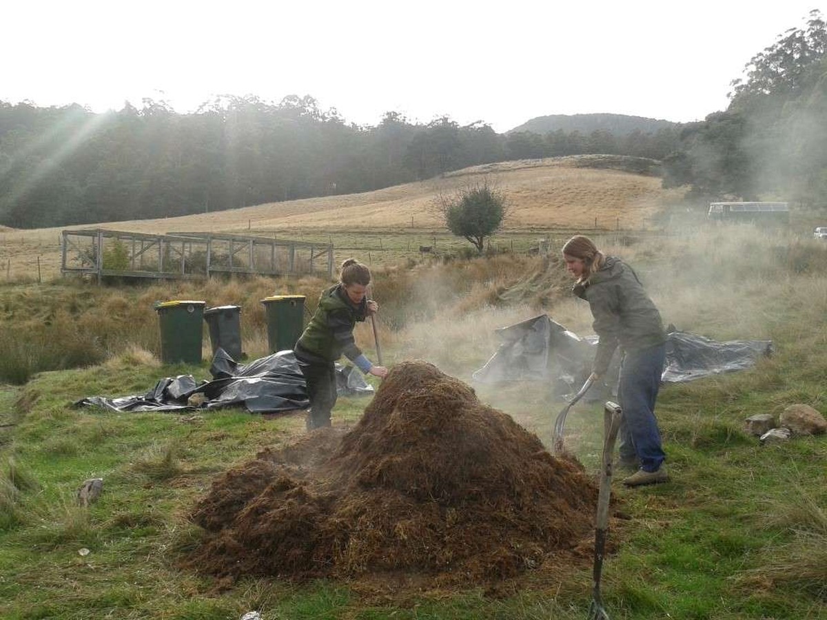 Was Gärtner über Kompost nicht laut sagen dürfen - image 1