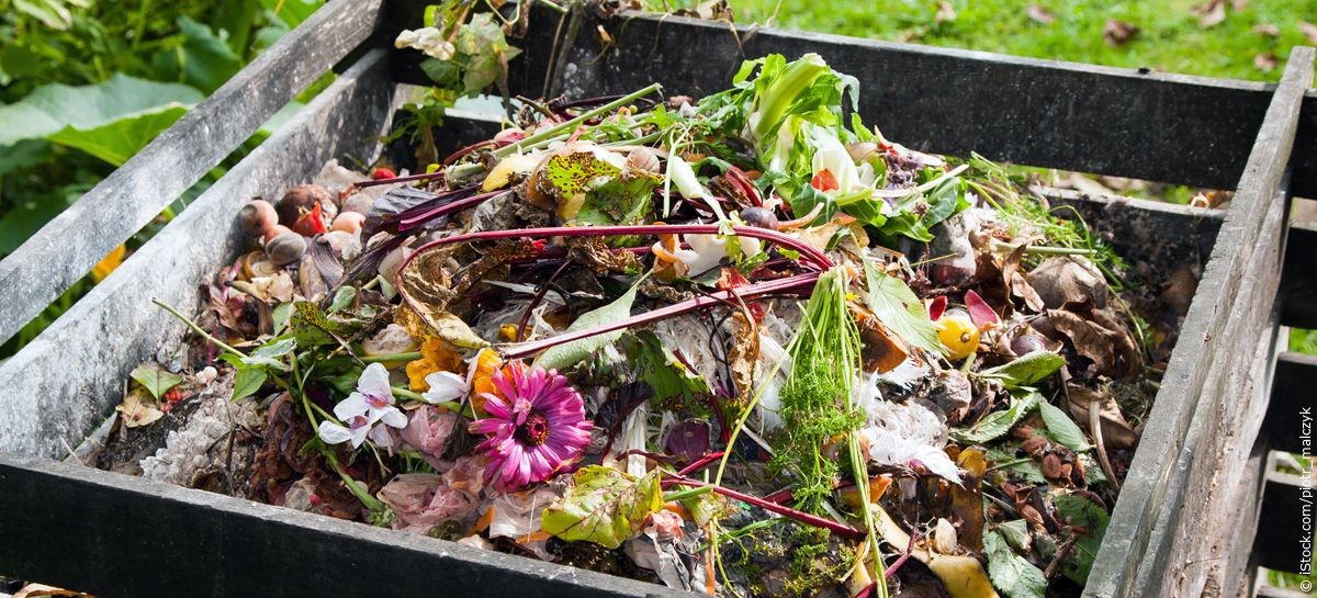 Was Gärtner wirklich mit verwelkten Blumen machen (und Sie sollten es auch) - image 2