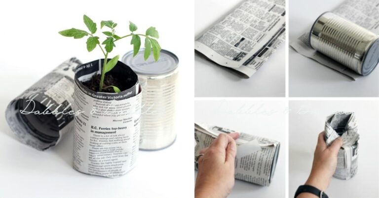 Zeitungspapier in den Blumentöpfen: Der Drainage-Trick der Profigärtner