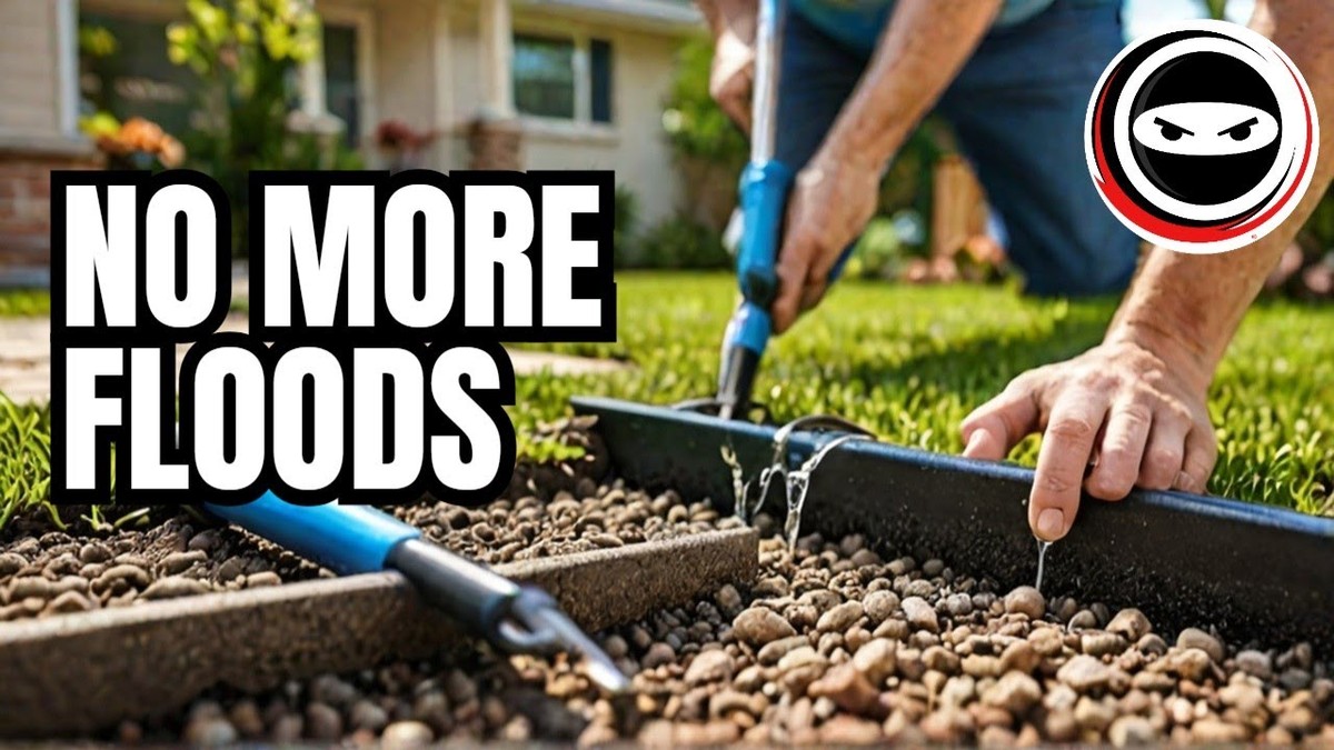 Zeitungspapier in den Blumentöpfen: Der Drainage-Trick der Profigärtner - image 1