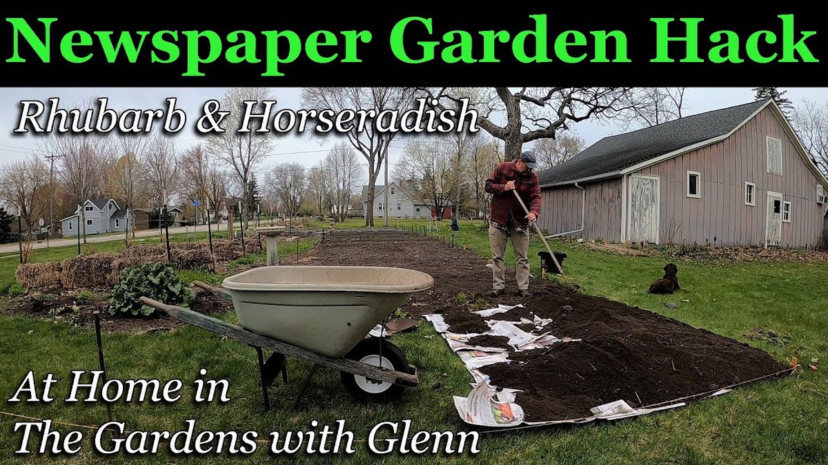 Zeitungspapier in den Blumentöpfen: Der Drainage-Trick der Profigärtner - image 2